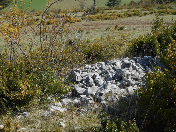 Alignements rectilignes de clapiers dans la vallée de Boussière (Drôme)